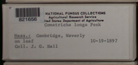 Image Associated With the Occurence